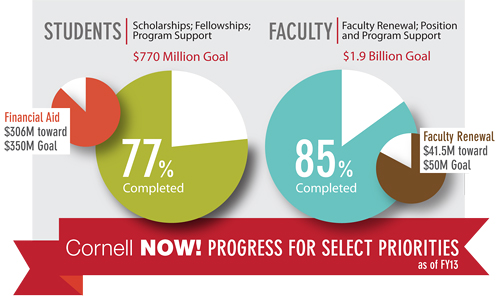 graphic showing fundraising progress in scholarships and faculty renewal