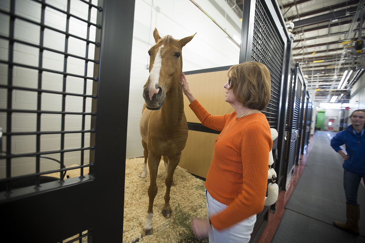 Linda Mittel visits horse