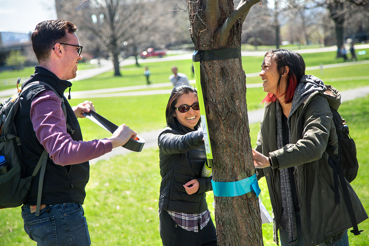 Students tag trees on Arts Quad